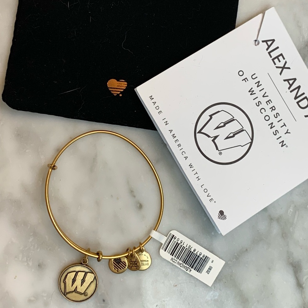Alex and Ani Wisconsin bracelet